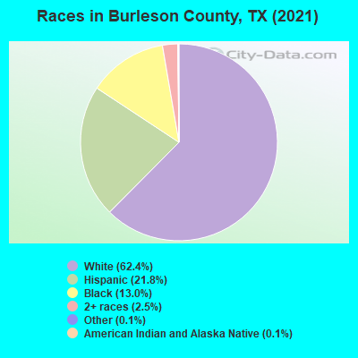 Races in Burleson County, TX (2019)