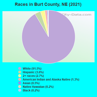 Races in Burt County, NE (2022)