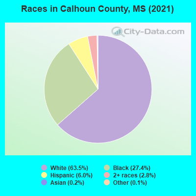 Races in Calhoun County, MS (2021)