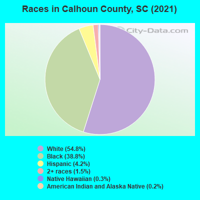 Races in Calhoun County, SC (2021)