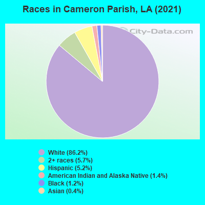 Races in Cameron Parish, LA (2022)