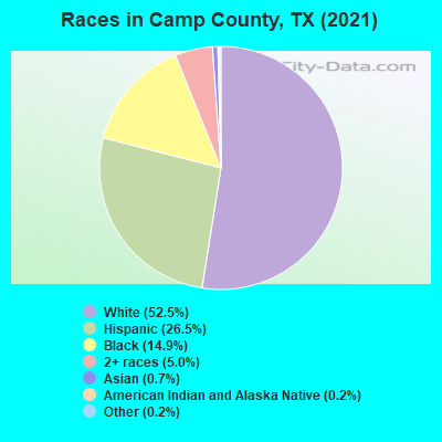 Races in Camp County, TX (2019)