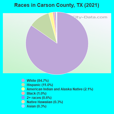 Races in Carson County, TX (2019)