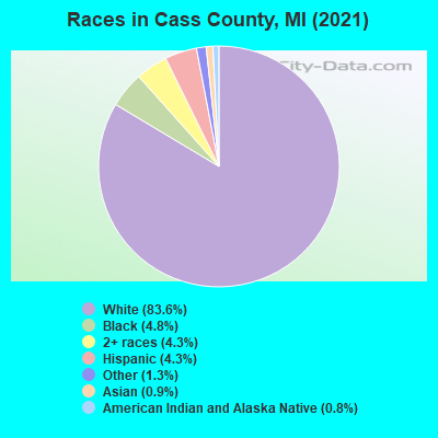 Races in Cass County, MI (2022)
