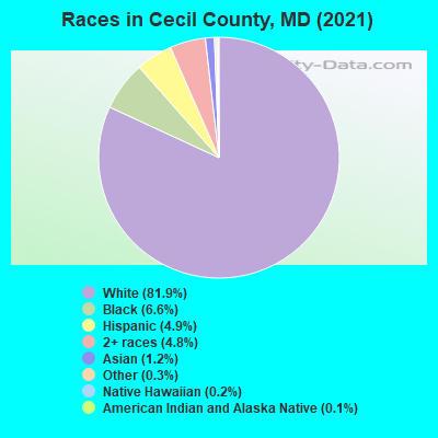 Races in Cecil County, MD (2021)