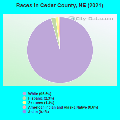 Races in Cedar County, NE (2019)