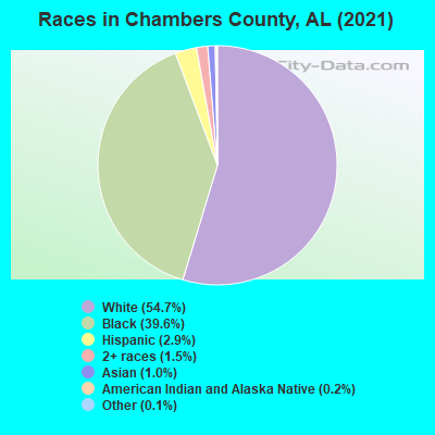Races in Chambers County, AL (2019)