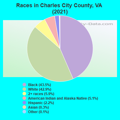 Races in Charles City County, VA (2019)