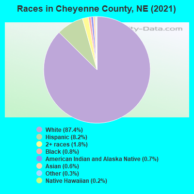 Races in Cheyenne County, NE (2021)