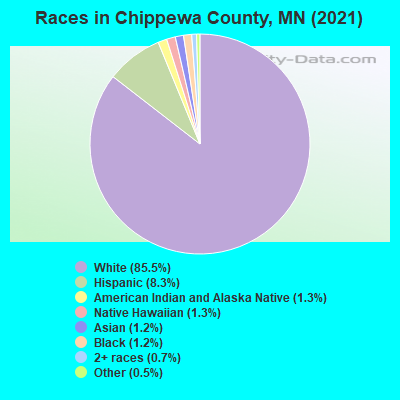 Races in Chippewa County, MN (2022)