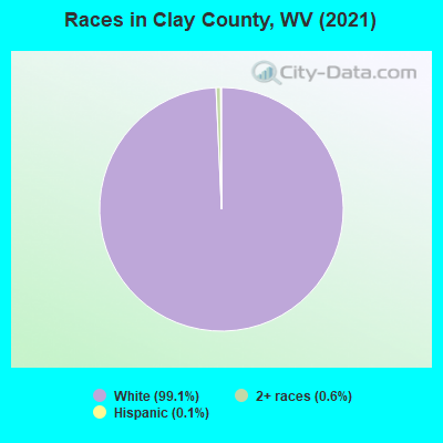 Races in Clay County, WV (2022)
