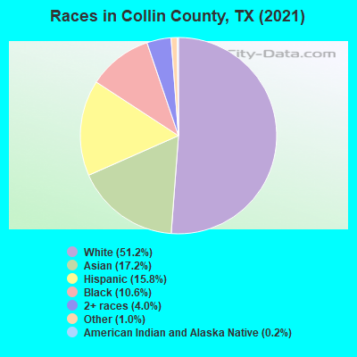 Races in Collin County, TX (2022)