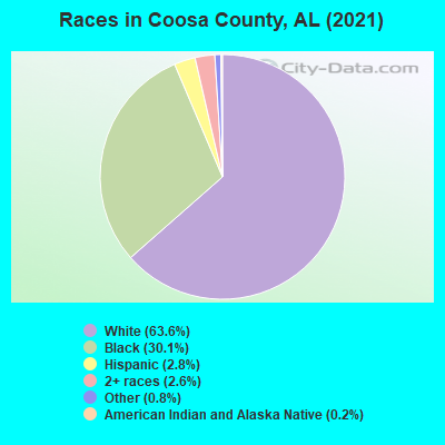 Races in Coosa County, AL (2019)