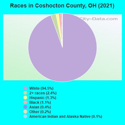 Races in Coshocton County, OH (2021)