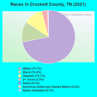 Races in Crockett County, TN (2019)