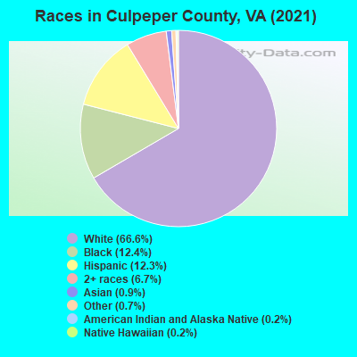 Races in Culpeper County, VA (2019)