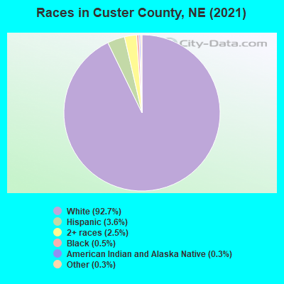 Races in Custer County, NE (2022)