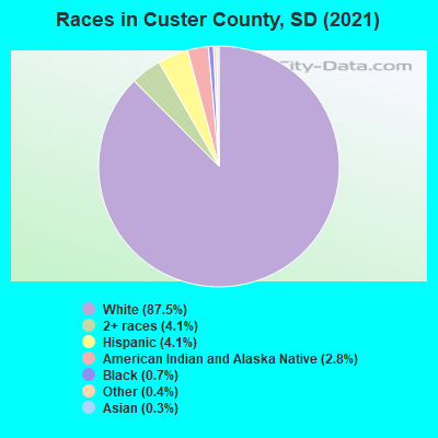 Races in Custer County, SD (2022)