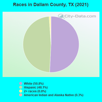 Races in Dallam County, TX (2019)