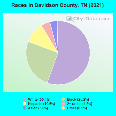 Races in Davidson County, TN (2021)