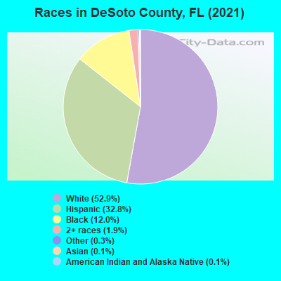 Races in DeSoto County, FL (2021)