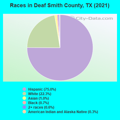 Races in Deaf Smith County, TX (2022)