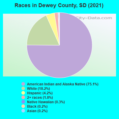Races in Dewey County, SD (2022)