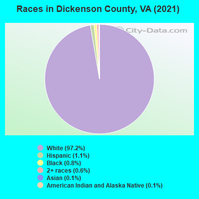 Races in Dickenson County, VA (2019)