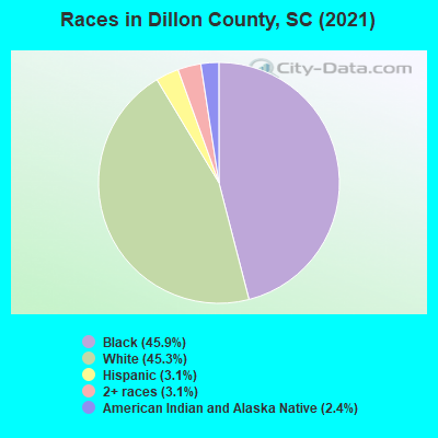 Races in Dillon County, SC (2021)