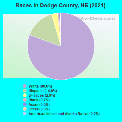 Races in Dodge County, NE (2021)