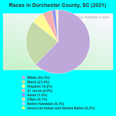 Races in Dorchester County, SC (2019)