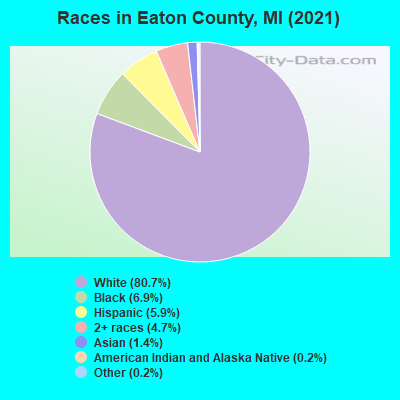 Races in Eaton County, MI (2019)