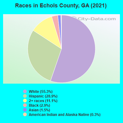 Races in Echols County, GA (2021)