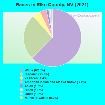 Races in Elko County, NV (2021)