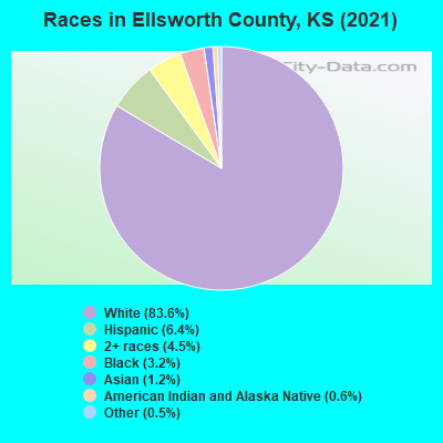 Races in Ellsworth County, KS (2019)