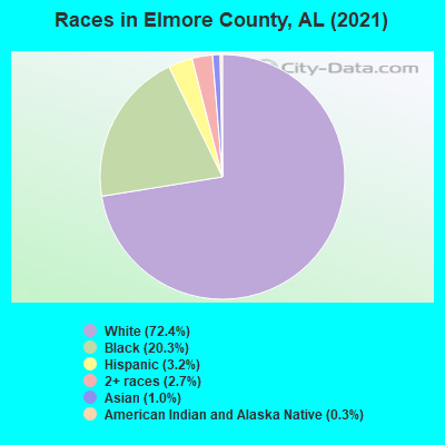 Races in Elmore County, AL (2021)