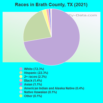 Races in Erath County, TX (2022)