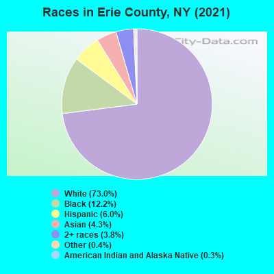 Races in Erie County, NY (2021)