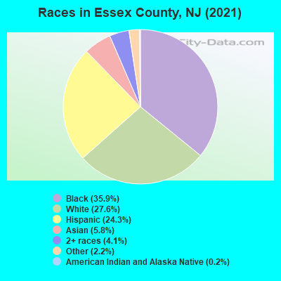 Races in Essex County, NJ (2021)