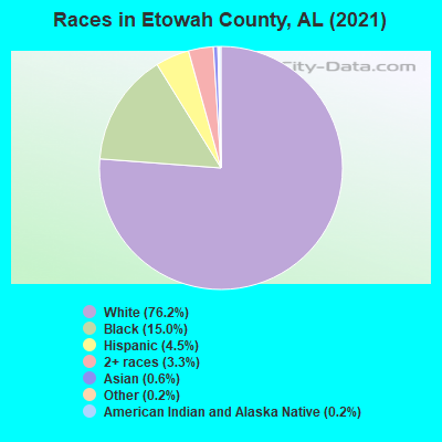 Races in Etowah County, AL (2019)