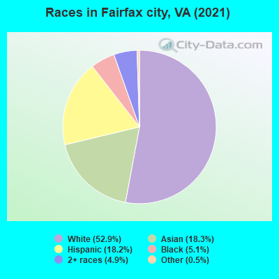 Races in Fairfax city, VA (2022)