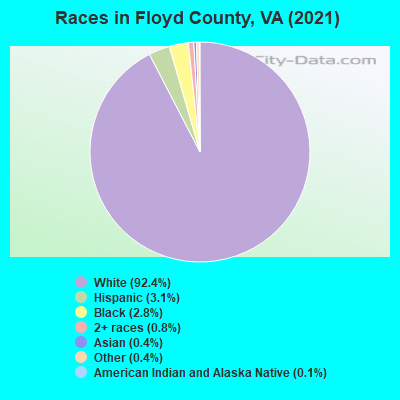 Races in Floyd County, VA (2019)