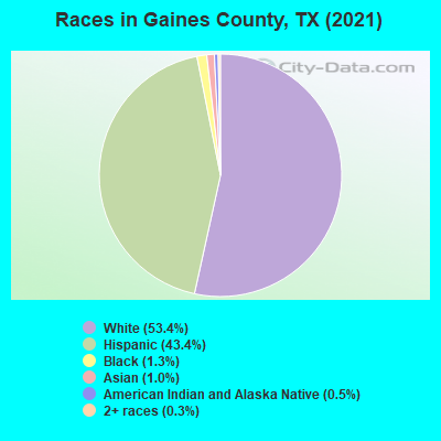 Races in Gaines County, TX (2019)