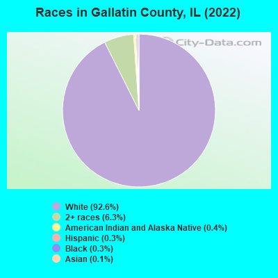 Races in Gallatin County, IL (2021)