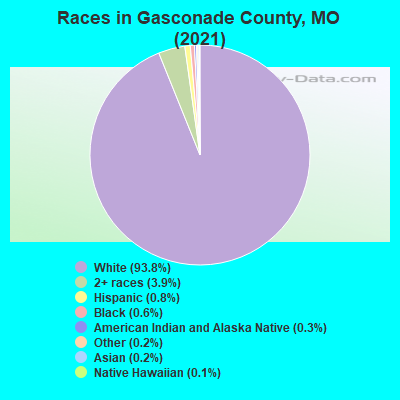 Races in Gasconade County, MO (2019)