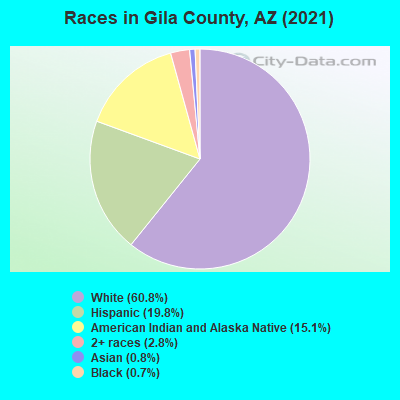 Races in Gila County, AZ (2019)
