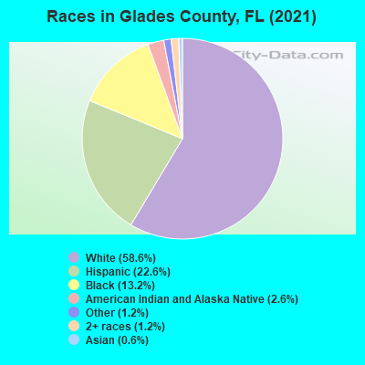Races in Glades County, FL (2021)