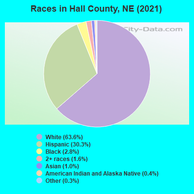 Races in Hall County, NE (2019)