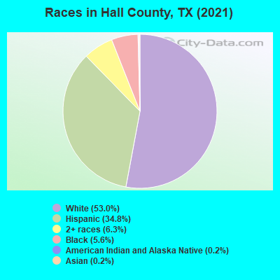 Races in Hall County, TX (2019)