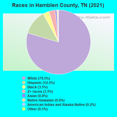 Races in Hamblen County, TN (2022)